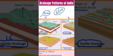 Indian Drainage Patterns- Dendritic-Trellis #shorts