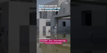 Floods are Increasing - Climate change is real #dubaiflood #shorts
