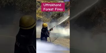 Forest Fires - Uttarakhand #disaster #viral #shorts