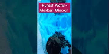 Purest Water- Alaskan Glacier #viral #waterresources #glacier #shorts
