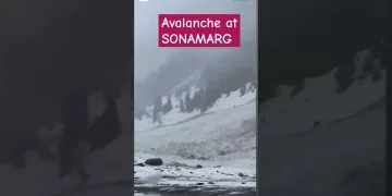 Snow Avalanche #sonamarg #kashmir #viral #shorts