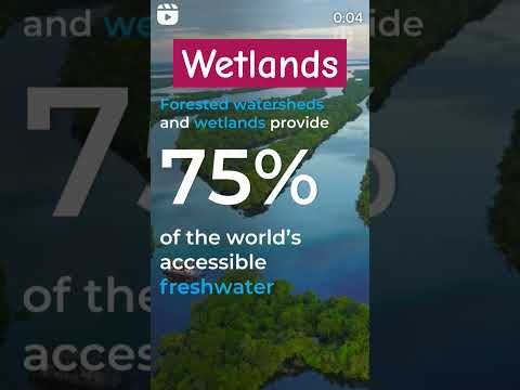 Wetlands - Fresh Water Sources #wetlands #freshwater #viral #shorts