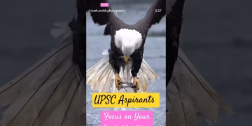 How to focus on your goal #upsc  #viralvideo #shorts