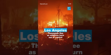 Los Angeles Wild Fire #losangeles #wildfire #viralshorts #shorts