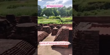 Ruins of Nalanda University #upsc #shorts