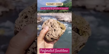 Sandstone Honeycomb structure #himalayan #geologists #thegeoecologist #shorts