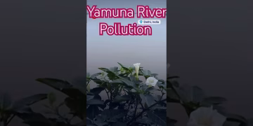 Yamuna River Pollution #yamunariver #yamuna #delhielection2025