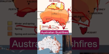 Australian Bushfires #upsc #viralvideo #shorts