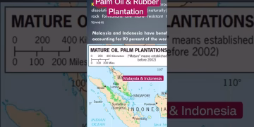 Malaysia & Indonesia - #economy #upsc #shorts