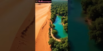 What If the Sahara Desert Turns Green Again? 🌵➡🌳 #shorts