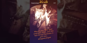 Happy New Year 2025 #happynewyear #thegeoecologist #shorts
