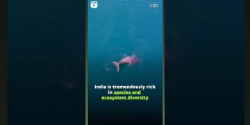 International Day for Biological Diversity #biodiversity #viral #india #shorts