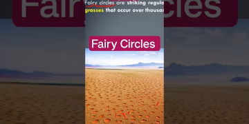 What are Fairy Circles- Namib Desert #viralvideo #upsc #shorts