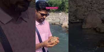 Field Work #thegeoecologist  #honeycomb #perforated #sandstone #shivalik #shorts