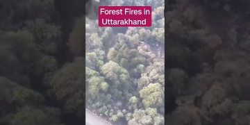 Forest Fire in Nainital- Uttarakhand #disaster #shorts