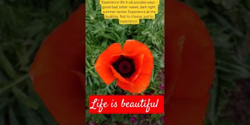Experience life in all possible ways #kaleidoscope #life #shorts