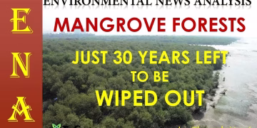 Environmental News Analysis (ENA)-17 | MANGROVE FORESTS ARE DYING
