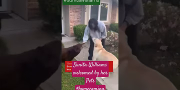 Sunita Williams welcomed by her pets #homecoming #sunitawilliams #viralvideo #shorts