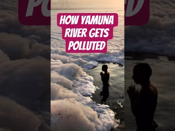 How Yamuna River Gets Polluted #thegeoecologist #yamunariver #yamunapollution #shorts