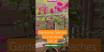 Gardening Teaches us a lot about Life #thegeoecologist #shorts