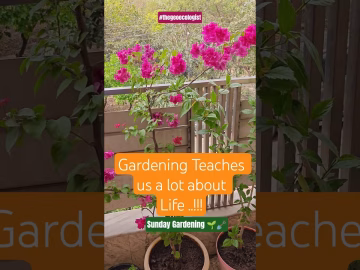Gardening Teaches us a lot about Life #thegeoecologist #shorts