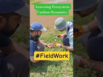 Ecosystem Carbon Dynamics #thegeoecologist #climatechange #shorts