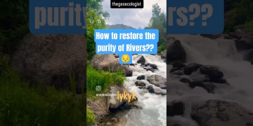 River Pollution - River Restoration #river #pollution #shorts