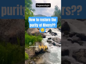 River Pollution - River Restoration #river #pollution #shorts