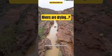 Rivers are drying up #heatwave #climatechange #viralvideo #shorts