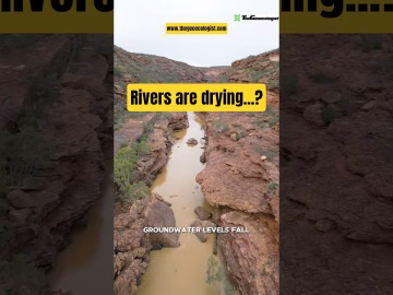 Rivers are drying up #heatwave #climatechange #viralvideo #shorts