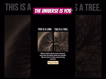 The Universe is You #viralshorts #thegeoecologist #universe #shorts