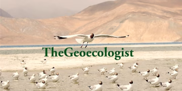 TheGeoecologist Live Stream
