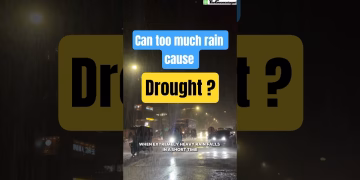 Can excessive rain cause drought #thegeoecologist #climatechange #drought #shorts