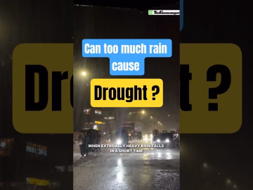Can excessive rain cause drought #thegeoecologist #climatechange #drought #shorts