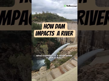 How dam Impacts a river #dam #river #thegeoecologist #shorts