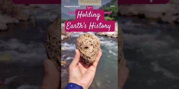 Beat Plastic Pollution #worldenvironmentday #viralvideo #shorts