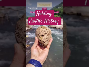 Beat Plastic Pollution #worldenvironmentday #viralvideo #shorts
