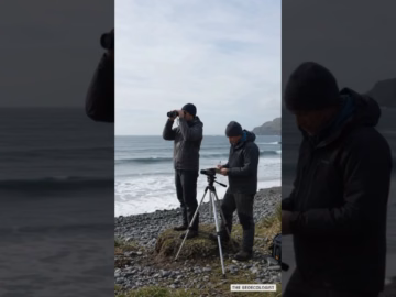 H5N1 Bird Flu Detected on Australia's Remote Macquarie Island!