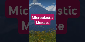 Microplastic Harming Photosynthesis #microplastics #microplastic #pollution #shorts