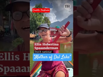 Mother of Dal - Ellis Hubertina #dutch #viralvideo #dallake #shorts