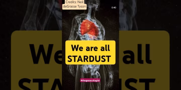 We are all literally stardust- Neil deGrasse Tyson #universe #spaceexploration #shorts